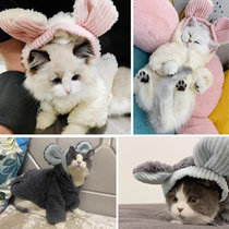 Pet Kitty Clothes Small Cat Infant Cat Milk Cat Warm Clothes Thickened wearing hat Hood Small Dogs Autumn winter clothes