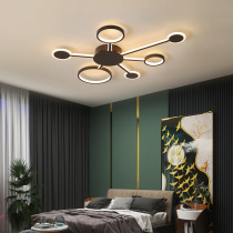 Nordic creative ceiling lamp simple modern atmospheric Art living room bedroom lamp creative personality study led lamp