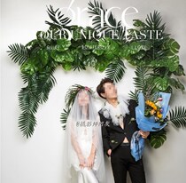 Shadow Building Photography Props Simulation Plant Green Leaf Creative Wedding Wedding Wedding Wedding photo Real Leaf Plantain Leaf Tortoise Back Leaves