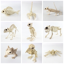 Animal skeleton skeleton snake Halloween horror haunted house decoration bat Spider scorpion mouse Crow Dog Skull