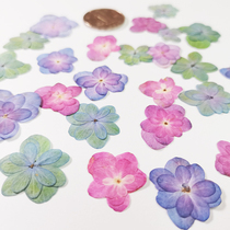 Embroidered Flowers Beauties Cherry Pledge Flowers Specimen Dry Flower Bag Stickup Face Writing Real Makeup Christmas Cards Natural Handmade Material