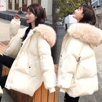 Down cotton-padded women short winter 2019 New Tide Korean loose cotton-padded jacket big hair collar thick coat women