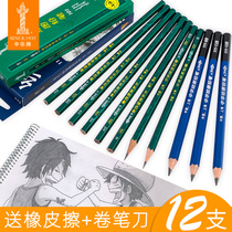 12 packs of Chinese pencils for primary school students writing HB examination 2B pencils Art sketch painting 2H pencils for first grade kindergarten painting stationery set wholesale