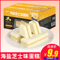 Sea salt cheese flavor net red cake small pocket bread Nutritious breakfast snack snack snack night snack hunger whole box wholesale