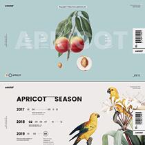 () Out of the wall of the apricot red creative colorful PPT template fresh and simple art hand account style