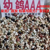 The Lord Dragon Dove Grain 3A Young Pigeon 3A No Corn Racing Pigeon Chicks Feed Pint Dragon War Dove Hot Sell 50 kilos