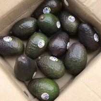 Mexico imports 10 avocado big fruit oil pear fresh fruit baby supplement avocado whole box