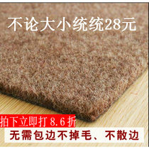 Rub Ash 80*100 Mat Door Mat Door Mat Door Mat Door Mat Door Mat Door Carpet Hall Living Room