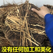 Home Seed Prevention Hair Hair Baking Tea Patients Bake Bowl Disclosure Casa Tea Cake Tea Delete Tea Cake Oil