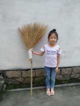 A grass sweep bamboo broomstick broom site broom sanitation of broom - sanitation