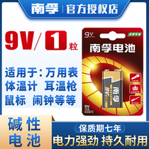 Nanfu 9V battery alkaline square nine volt multimeter wireless microphone smoke alarm universal meter 6F22 laminated number square toy remote control microphone dry battery wholesale body temperature gun