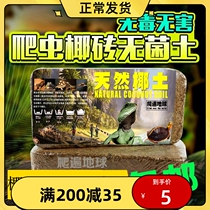 Reptile Reptile Case Tortoise Mat Coconut Brick Coconut Sterile Earth Snail Turtle Winter Sleeping Supplies Moisturizing Warm Earth