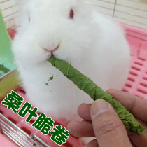 Drying Mulberry Leaf Rolls Dry Leaves Crisp Rolls Pets Rabbit Dragon Cat Guinea Pig Dutch Pig Nutrition Food Snacks Rabbit Hay Hay