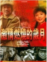 DVD version Passion Burning Years 1+2] Sun Haiying Lu Liping 3 discs