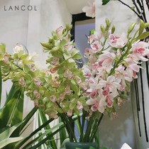 Lancol simulation flower simple white powder Wandai orchid PU feel living room home soft decoration with fake flowers