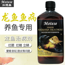 Fish tank fish medicine Mu Dessen dragon fish disease agent dragon fish rotten gills standing scales blindfolded tank anorexia enteritis aquarium medicine