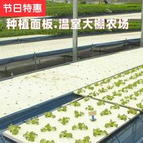 Soilless cultivation equipment Hydroponic large-scale greenhouse planting panel vegetable aerosol cultivation I foam board planting floating board