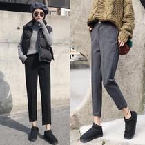 Hong Kong counter 2021 autumn and winter New Tide brand woolen pants padded Harlan small foot pants loose casual radish pants