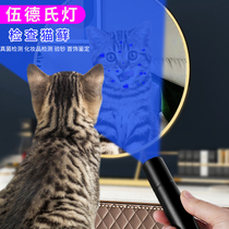 Woods lamp shining cat Moss pet cat urine fungus detection flashlight ultraviolet fluorescent agent purple household bill check