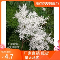 Olive branch simulation green planting money leaf decoration flower material hotel layout wedding scene Floral Art soft olive leaf batch