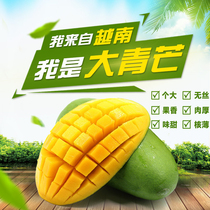 Mu Mango Green Mango Fruit Fresh Vietnam First Class Green Mang Imported Seasonal Green Mango Wholesale 5 Jin