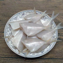 Wild small consumer fish peeling fish rubber fish horse-faced fish pickfish frozen hot pot ingredients one catty of 30-40