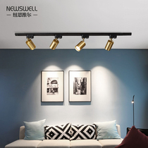 Spotlights led ceiling lights Track lights Household Nordic Cloakroom surface mounted downlights without main lights Living room Golden spotlights