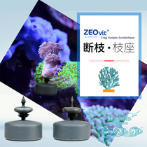 Germany ZEO Coral base KZ frag Broken base LPS Coral base Broken base Soft Coral base