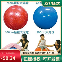 Kindergarten childrens toys sensory training explosion-proof massage ball adult yoga fitness ball Big Dragon Ball 100cm65