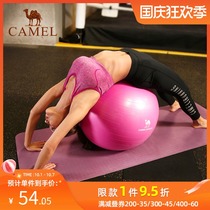 Camel yoga ball thickened explosion-proof female balance ball wave speed ball semi-circle yoga equipment fitness ball yoga ball