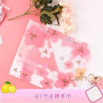 Japanese style large Cherry Blossom gift bag translucent tote bag handbag gift bag with hand gift ins style high-grade