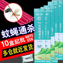 Mosquito Drosophila Fly Aroma Kill mosquito Fly Fragrant hotel Home Mosquito Repellent Mosquito mosquito Mosquito Mosquito mosquito Mosquito Incense Bamboo Sign Incense Wire incense