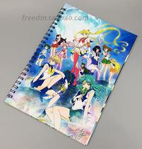 Animation Surrounding Beautiful Girl Warrior SailorMoon Moon Hare 8 Open Aesthetic Photo Album B