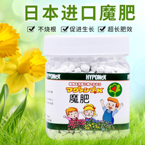 The United States imports Japan long-term slow-release magic fertilizer particles slow-release fertilizer Small iron moon flower fertilizer succulent orchid fertilizer