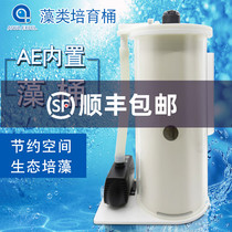 AE built-in algae barrels of seawater and high algae cultivation of coral reef fish NO3 God bark algae tank algae box fish tank bottom tank tank bottom tank