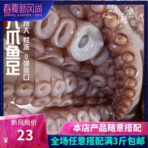  Octopus Foot Oversized Octopus Frozen Octopus Octopus Octopus Foot Frozen Octopus Foot