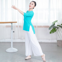 Practice suit Womens dance clothes Chinese classical dance slim-fit Modal modern practice square dance clothing wide-legged pants