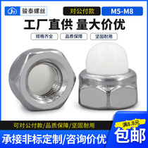 304 stainless steel nylon cover mother stainless steel cap nut stainless steel hexagonal plastic nut M5 M6 M8