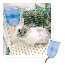 Italian IMAC small darling hanging on silent striker Striker Rabbit Dutch pig with imported kettle