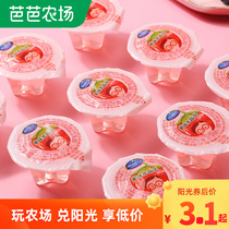 Alpine crystal jelly bulk strawberry flavored water jelly snack snack full box