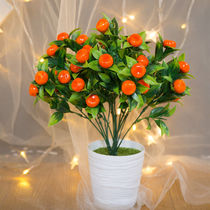 Simulation flower orange tree green plant plastic potted bonsai living room decorated with dry flower fake flower wine cabinet pendulum piece
