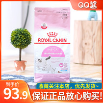 Royal BK34 cat milk cake 1-4 months old kitten food 2KG Muppet British short pregnant nursing female cat food fattening hair gills