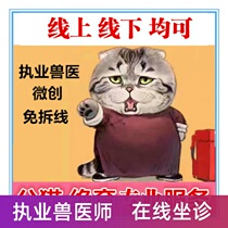Pet doctor door-to-door sterilization pet shaving dog cat injection Beijing pet injection practicing Veterinarian
