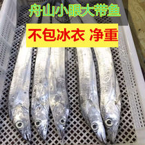 (10kg) Zhoushan belt fish now catch the whole fresh seafood fresh frozen frozen small eye oil belt fish