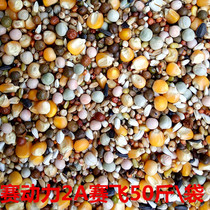 Race Dynamics Dove Grain 2A Racing 2A with corn racing pigeon Pigeon Spectator Pigeon Parrot Pigeon Vegan Pigeon Food 50 catfish