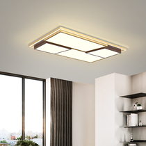 Nordic Series Minxin Suction Dome Lamp Suit Line Down the same homogenous price