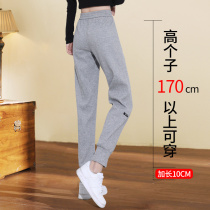 Gray swepants lady lengthened version tall 2022 large code ice silk new straight drum summer thin casual sports pants