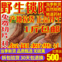 Chinese herbal medicine Golden Cynomorium 500g Cynomorium Cynomorium