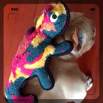 Dogs vocal toys Fou fights Kirky large dogs resistant to bite interaction and solitude to vent foreign trade outlet Self-leaving