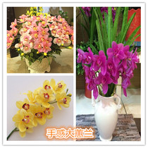  Simulation flower manufacturers feel simulation vegetable artificial flower East Asian orchid 12 realistic simulation cymbidium tiger head orchid